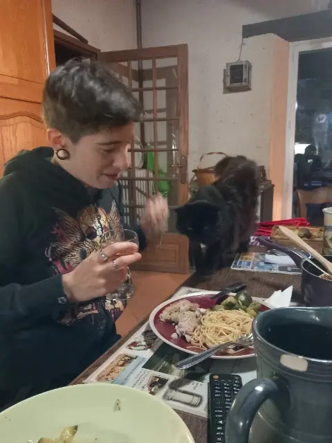 chatte lost   46600 Martel Iris