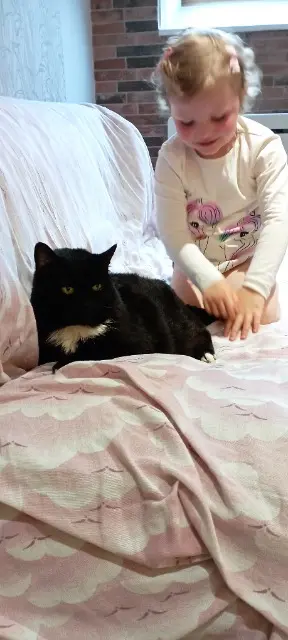 chatte lost   50400 Granville Nina