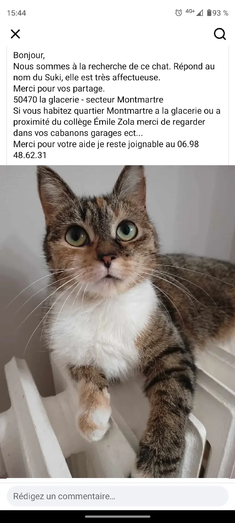 Chatte Perdue 50 Manche - Suki Chatte Perdue 50 Manche - Suki