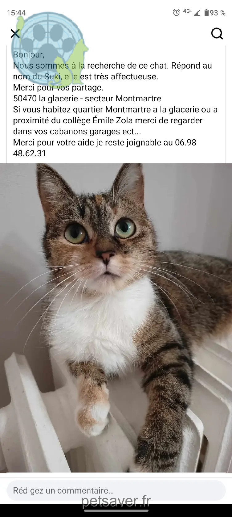 Chatte Perdue 50 Manche - Suki Chatte Perdue 50 Manche - Suki