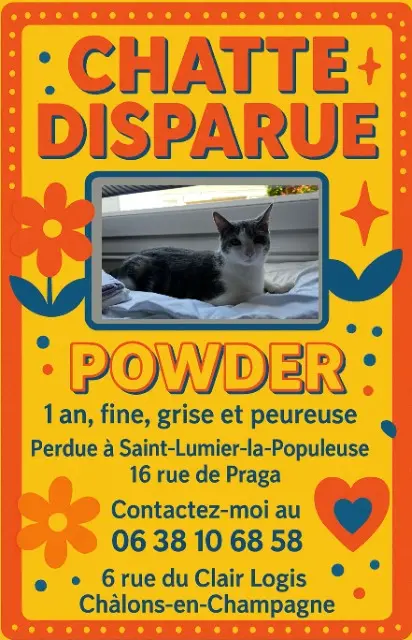 chatte lost   51340 Saint-Lumier-la-Populeuse Powder