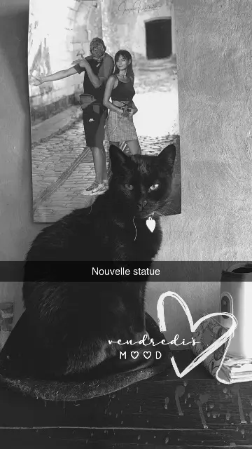 chatte lost   54840 Bois-de-Haye Bibi