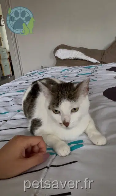 kat lost   54400 Longwy Lemon
