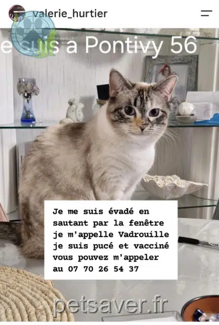 Vadrouille