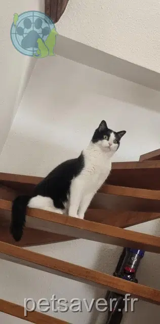 Nina