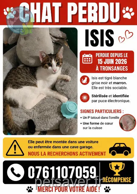 gata lost 58400 Tronsanges Isis