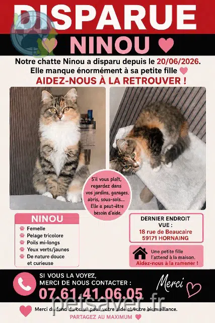 gata lost 59171 Hornaing Ninou