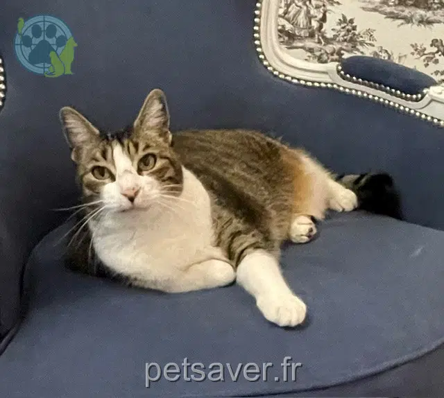 kat lost   59290 Wasquehal Poupoune