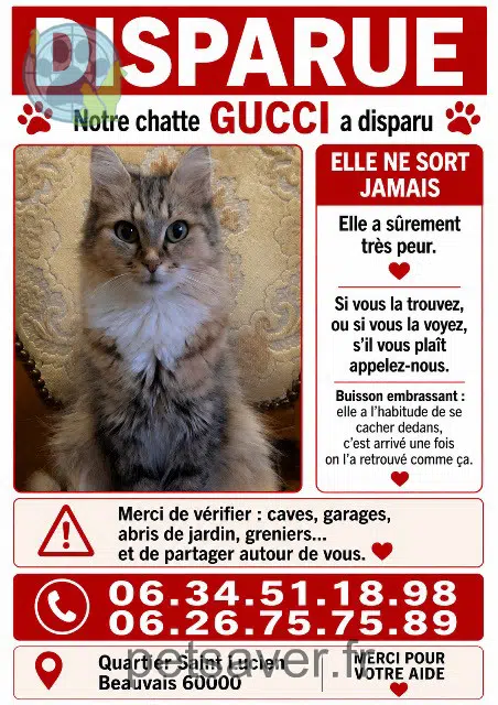 kat vermist 60000 Beauvais Gucci kat lost 60000 Beauvais Gucci