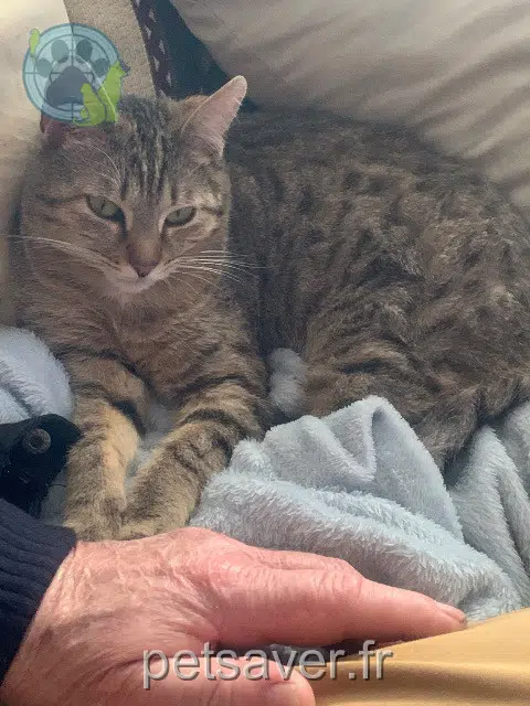 kat lost   62270 Boubers-sur-Canche Lisa