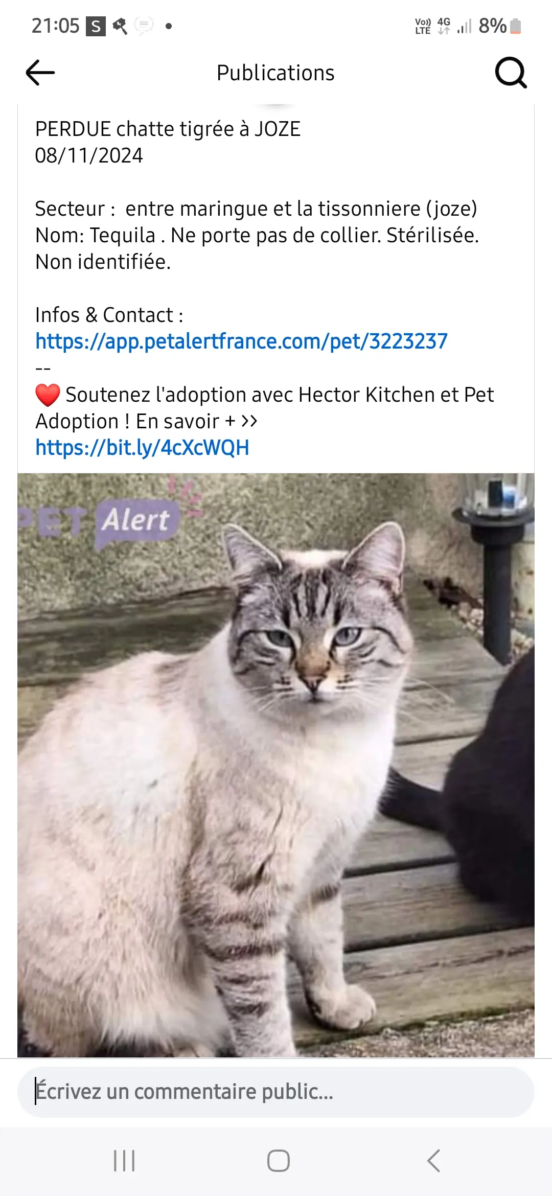 Chatte Perdue 63 Puy-de-Dôme - Tequila Chatte Perdue 63 Puy-de-Dôme - Tequila
