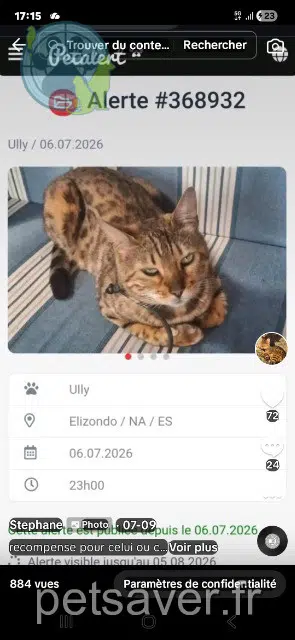 chatte lost 64310 Saint-Pée-sur-Nivelle Ully