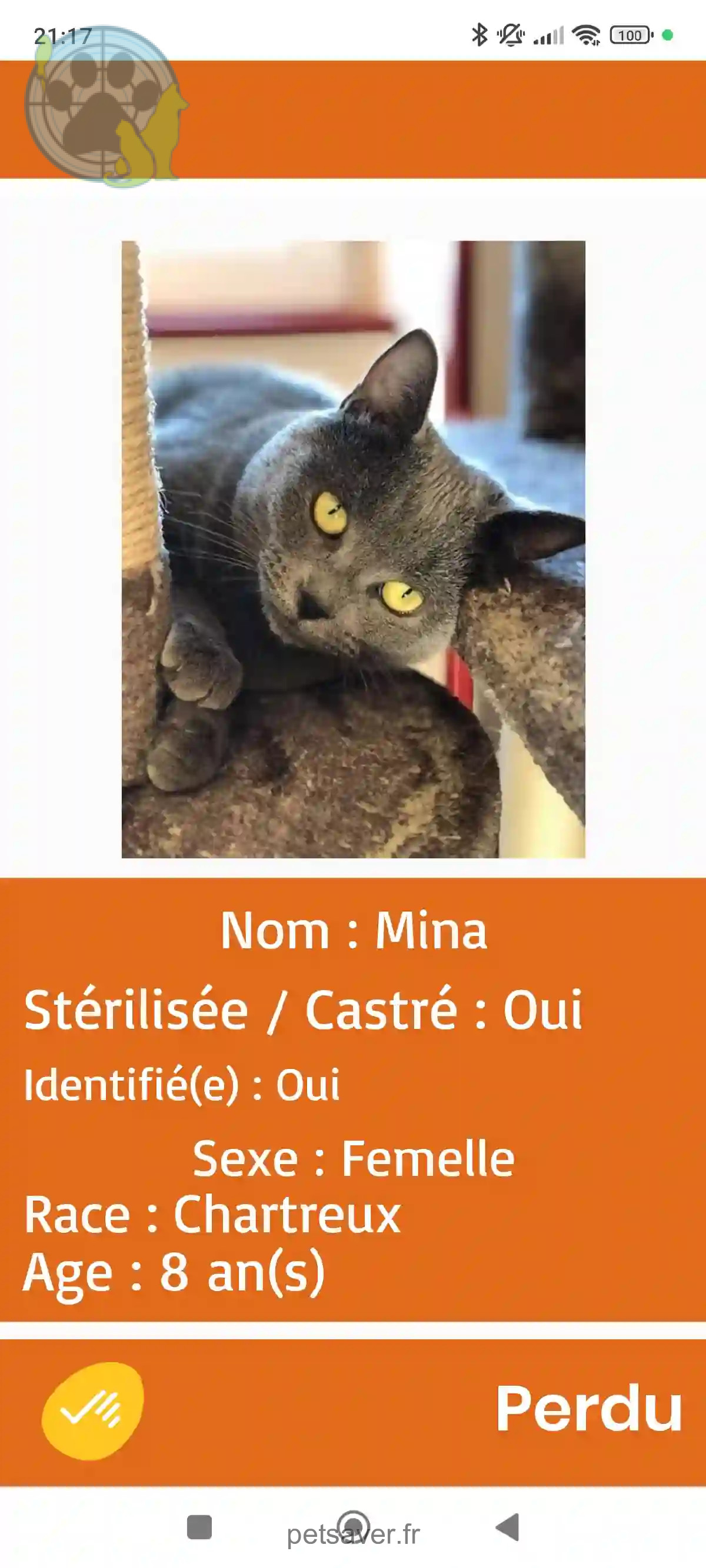 Chatte Perdue 65 Hautes-Pyrénées - Mina Chatte Perdue 65 Hautes-Pyrénées - Mina