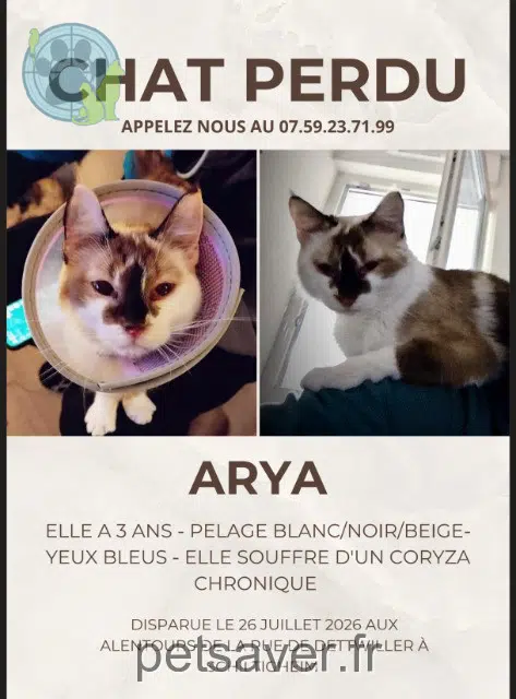 gata lost 67300 Schiltigheim Arya