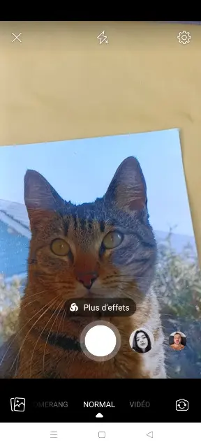 chatte lost   67206 Mittelhausbergen Babouchka