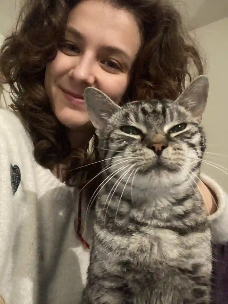 Chatte Perdue 67 Bas-Rhin Strasbourg - Luna Chatte Perdue 67 Bas-Rhin Strasbourg - Luna