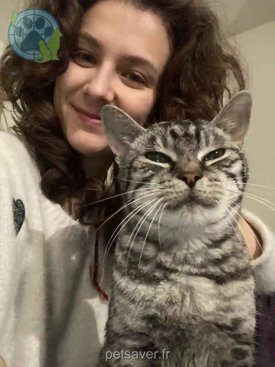 Chatte Perdue 67 Bas-Rhin Strasbourg - Luna Chatte Perdue 67 Bas-Rhin Strasbourg - Luna