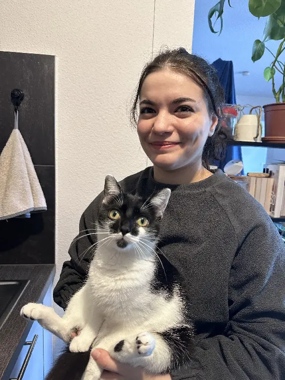 Chatte Perdue 67 Bas-Rhin - Uniko Chatte Perdue 67 Bas-Rhin - Uniko
