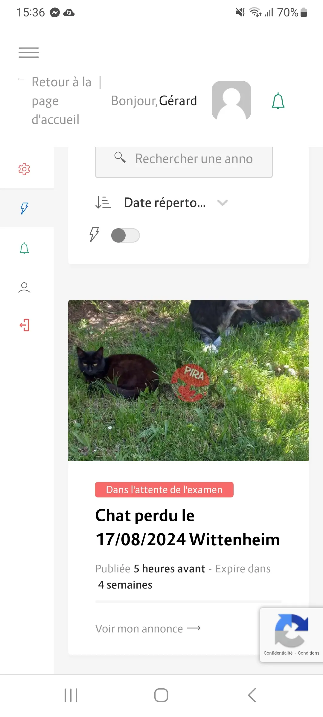 Chatte Perdue 68 Haut-Rhin - Maïko Chatte Perdue 68 Haut-Rhin - Maïko