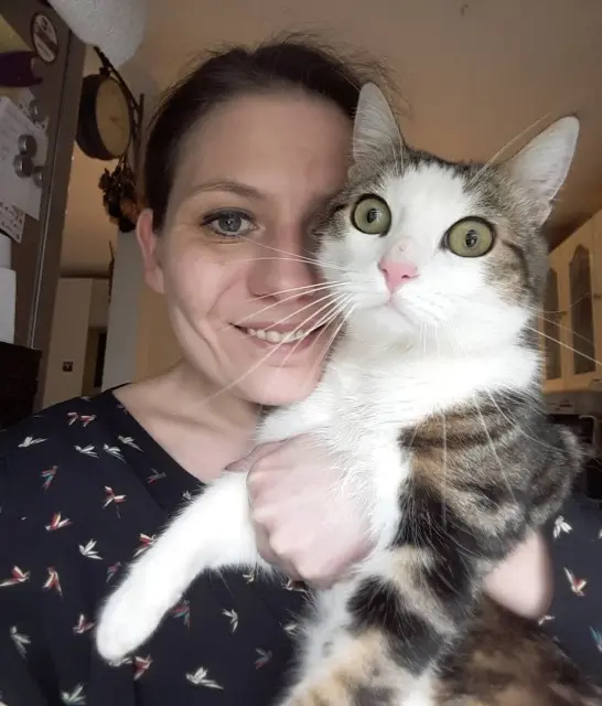 kat vermist Ammerschwihr Nina kat lost Ammerschwihr Nina