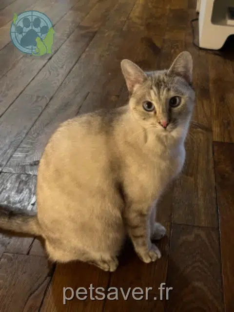 Feliska