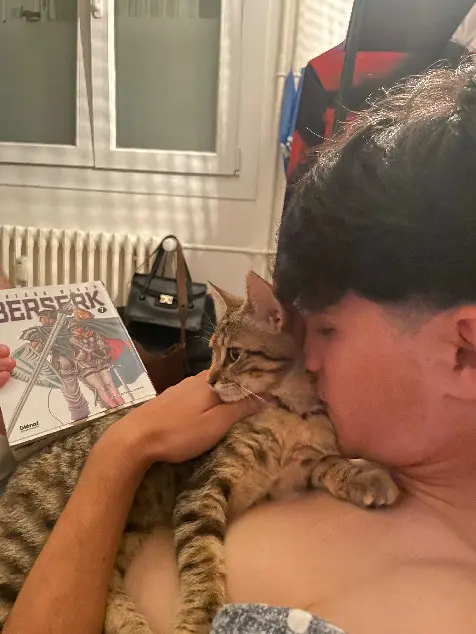 Chatte Perdue 69M Métropole de Lyon Villeurbanne - Irelia Chatte Perdue 69M Métropole de Lyon Villeurbanne - Irelia