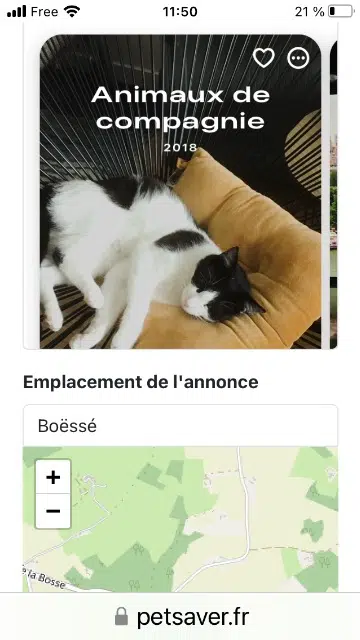 chatte lost   72400 Boëssé-le-Sec Jasmine