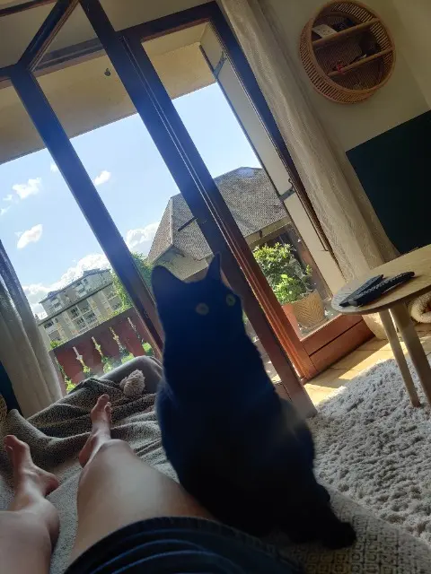 chatte lost   73230 Barby Krapule