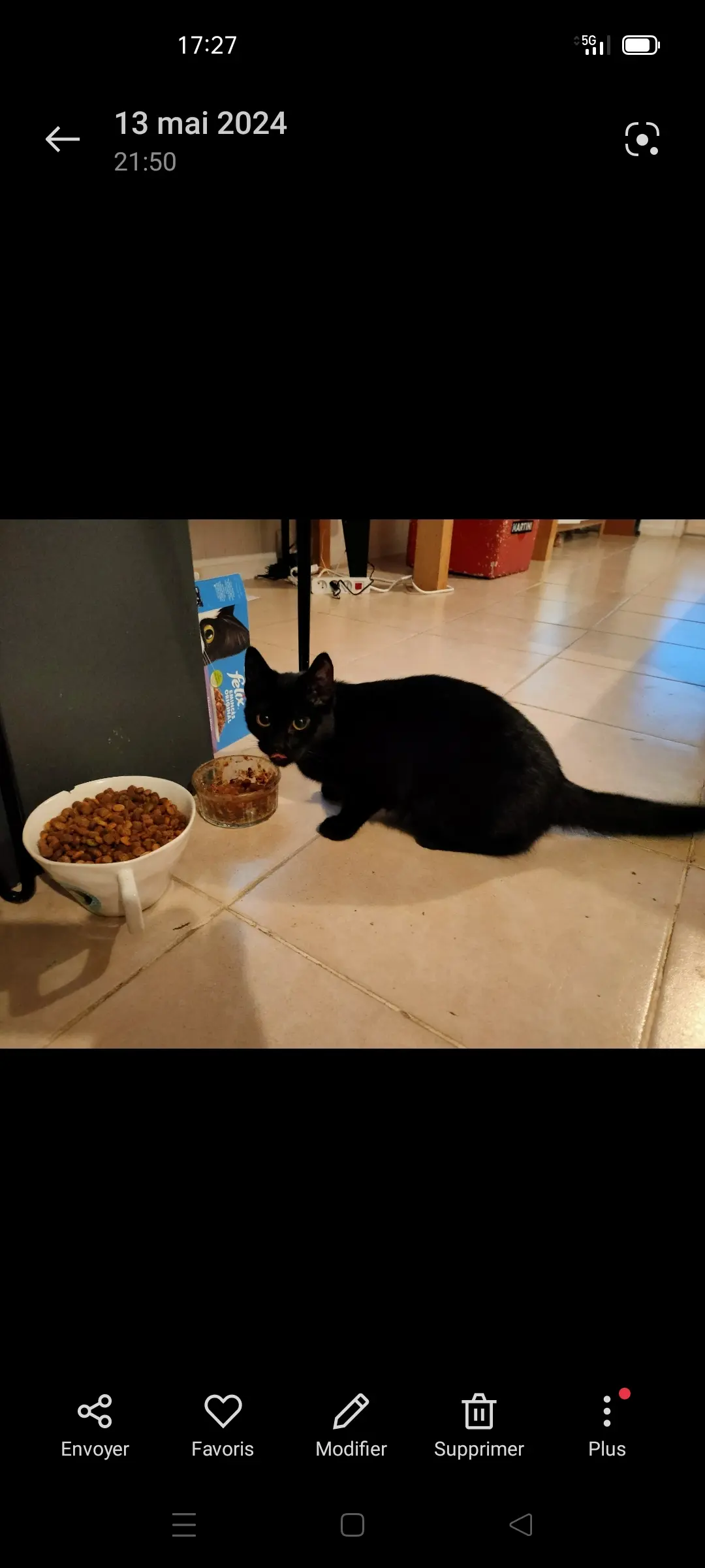 kat vermist 236 Passage de Brassilly 74330 Poisy Milou kat lost 236 Passage de Brassilly 74330 Poisy Milou