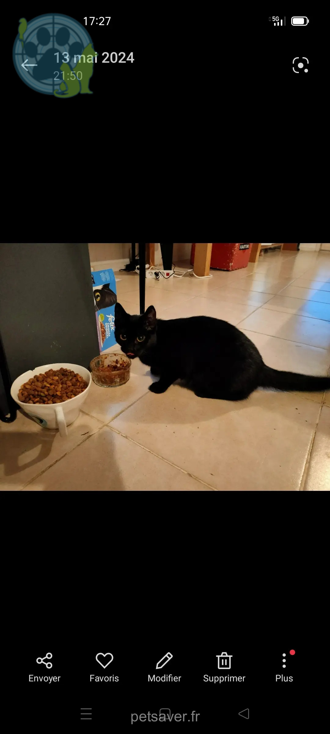 Katze vermisst 236 Passage de Brassilly 74330 Poisy Milou Katze lost 236 Passage de Brassilly 74330 Poisy Milou