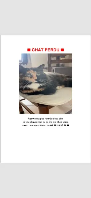 chatte lost   74250 Fillinges Roxy