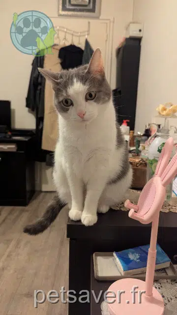 Bonnie