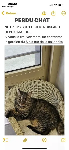 chatte lost    Paris JOY