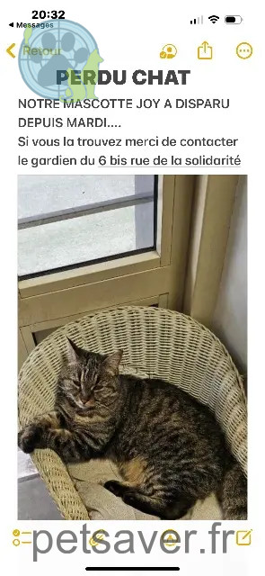cat lost Paris JOY cat lost Paris JOY
