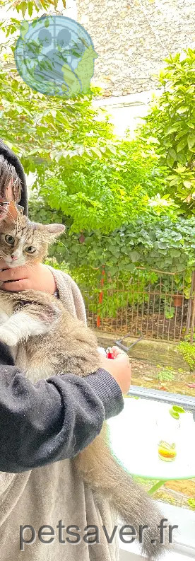 Chatte Perdue 75C Paris - Leila Chatte Perdue 75C Paris - Leila