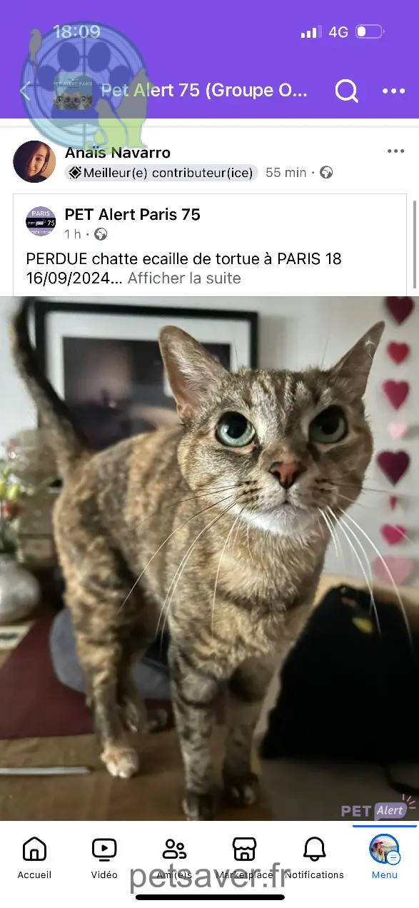 Chatte Perdue 75C Paris - Ninja Chatte Perdue 75C Paris - Ninja