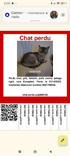 chatte lost    Paris Sweety