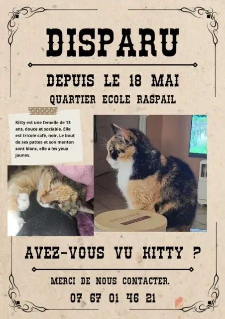 chatte lost   76300 Sotteville-lès-Rouen Kitty