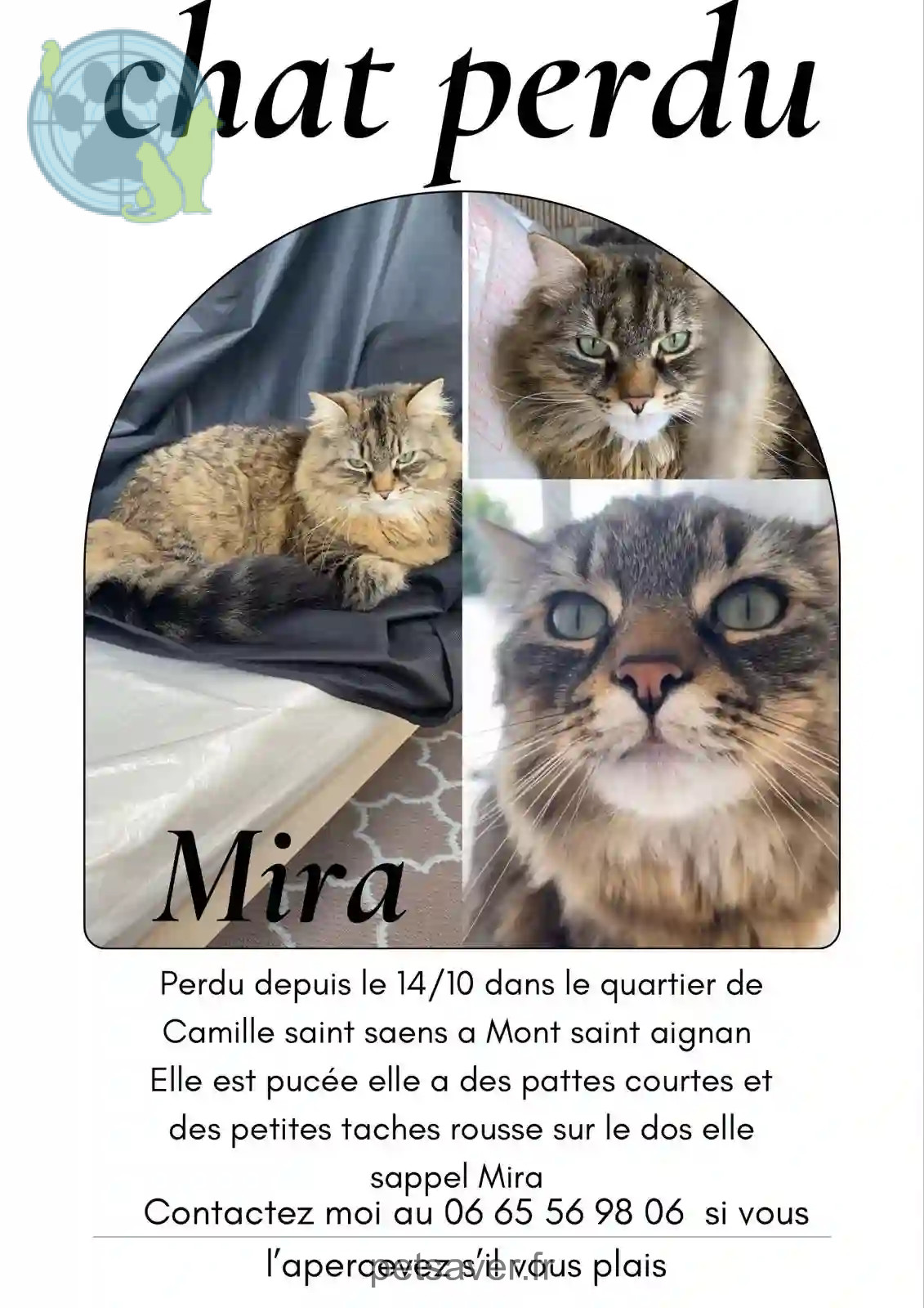 Chatte Perdue 76 Seine-Maritime - Mira Chatte Perdue 76 Seine-Maritime - Mira