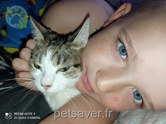 chatte lost   77140 Nemours Kyra