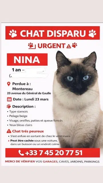 kat vermist 77130 Montereau-Fault-Yonne Nina kat lost 77130 Montereau-Fault-Yonne Nina