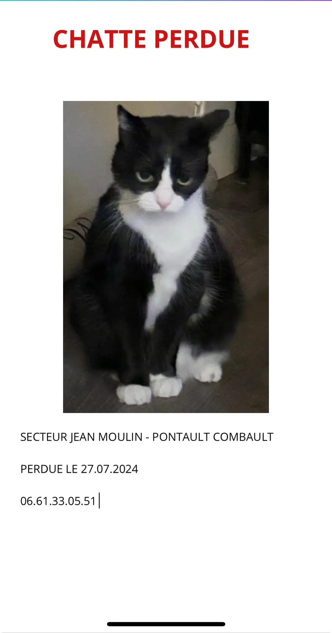 Chatte Perdue 77 Seine-et-Marne Chatte Perdue 77 Seine-et-Marne