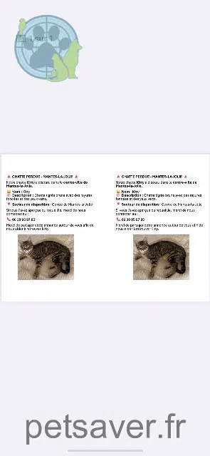 gata lost 78200 Mantes-la-Jolie Kitty