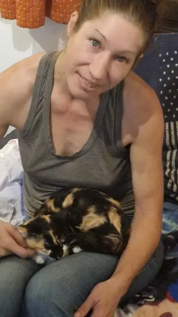 chatte lost    Saint-Raphaël Sadie