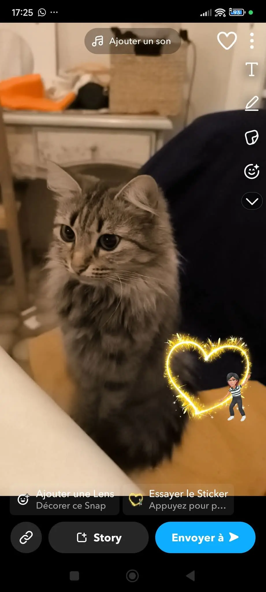 Chatte Perdue 83 Var Chatte Perdue 83 Var