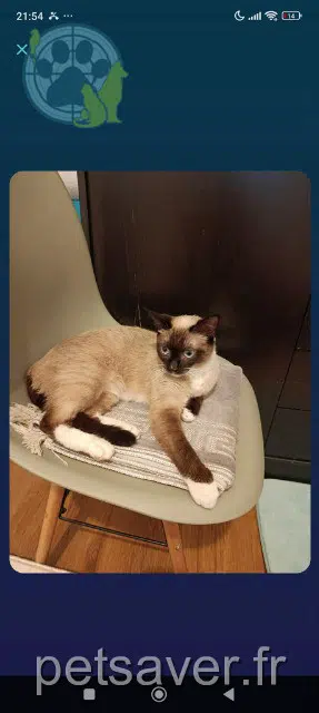 kat lost   91150 Étampes Bebechat
