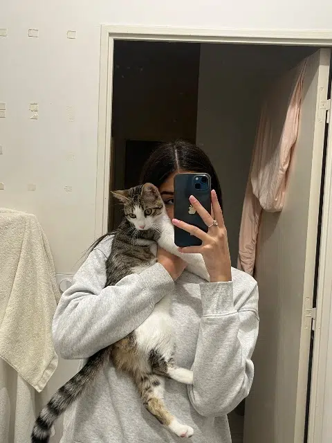 chatte lost   91170 Viry-Châtillon Liv