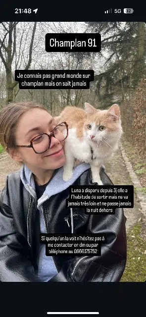 chatte lost   91160 Champlan Luna