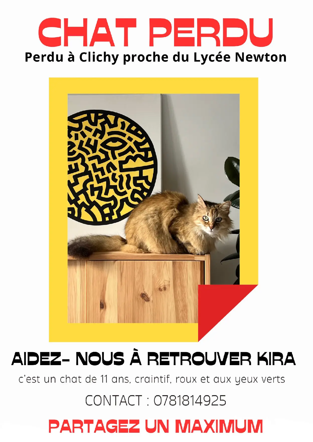 Chatte Perdue 92 Hauts-de-Seine - Kira Chatte Perdue 92 Hauts-de-Seine - Kira