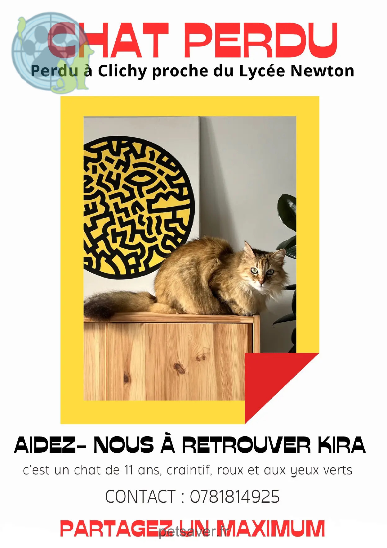 Chatte Perdue 92 Hauts-de-Seine - Kira Chatte Perdue 92 Hauts-de-Seine - Kira